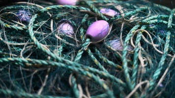 Miracle en Mer : Maximo Napa, le Pêcheur Péruvien Retrouvé Après 94 Jours en Haute Mer