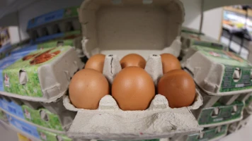 Pas de Pénurie d'Œufs en France : Explications et Perspectives