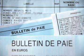 La Disparité Salariale : Fonctionnaires vs Secteur Privé en France