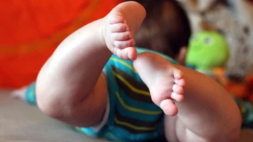 Rappel des pots pour bébés Nestlé : risques d'ochratoxine A