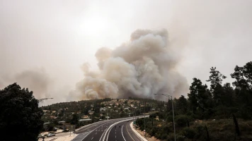 Incendies Dévastateurs en Israël : Évacuation et Réponse d'Urgence