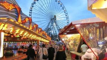 Accident au Festival Madame Loyal à Lille : Une Femme Gravement Blessée
