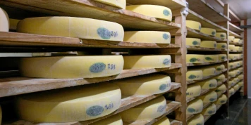 France Inter et la Stigmatisation du Comté : Une Critique de l'Écologie Radicalisée