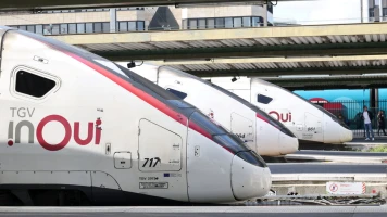 SNCF : Nouveau Protocole de Sécurité pour les Animaux après l'Incident Tragique du Chat Neko