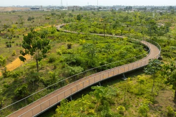 Le parc d’Akouédo : Une transformation écologique à Abidjan