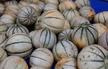 Rappel Alimentaire : Melons Espagnols Juanjor Contaminés par des Pesticides