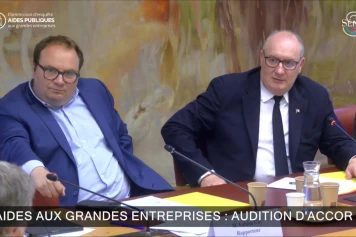 Commission d’Enquête Sénatoriale : Vers une Transparence des Aides Publiques aux Grandes Entreprises
