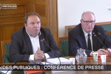 Rapport Sénat 2025 : Transparence des Aides Publiques aux Grandes Entreprises