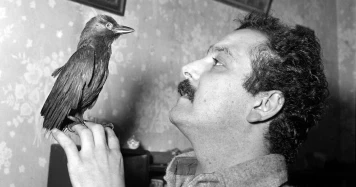 Conflit Succession : Serge et Eve Cazzani contre la Vente des Objets de Georges Brassens