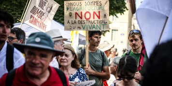 Loi Duplomb : Réintroduction de l'Acétamipride et Ses Impacts sur la Santé et la Biodiversité