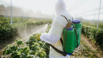 Insecticides : L'Agence Sanitaire Européenne Demande Plus de Données sur les Risques Sanitaires