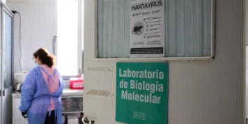 Hantavirus : le réchauffement climatique suspecté d’avoir contribué à la récente hausse des cas en Argentine