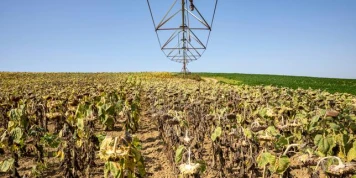 Mise à mal par une sécheresse historique, l’agriculture française souffre et s’inquiète pour son avenir
