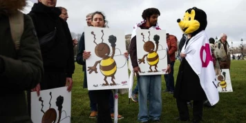 Des traces d’acétamipride et d’autres néonicotinoïdes dans le Nutella et des miels importés
