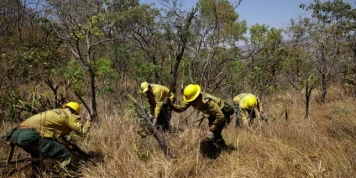 Au Brésil, la politique de prévention des incendies du président Lula porte ses fruits