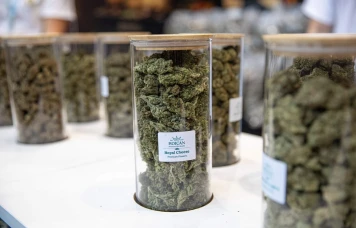 « Jamais je n’avais eu ça avec le cannabis »… Des consommateurs alertent sur le CBC et le THCX, vendus légalement