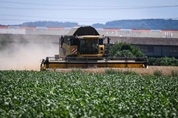 Loi d’urgence agricole : le piège du modèle productiviste, un cas d’école de dissonance cognitive