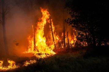 Incendies : l’inaction climatique pourrait augmenter les surfaces brûlées de près de 40 %, selon une étude