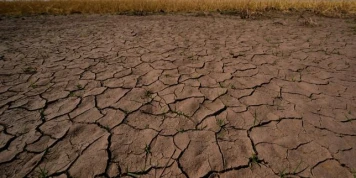El Niño, le phénomène climatique qui réchauffe les températures dans le Pacifique équatorial, a commencé