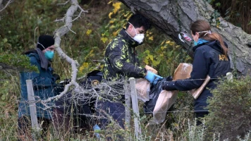 Hantavirus : pas de rongeurs de l’espèce potentiellement porteuse de la souche dans la province de Mendoza