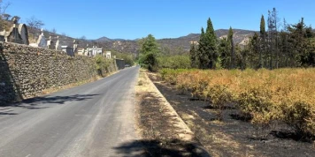 Dans les Pyrénées-Orientales, des producteurs de fruits « en grande détresse » après le passage du feu