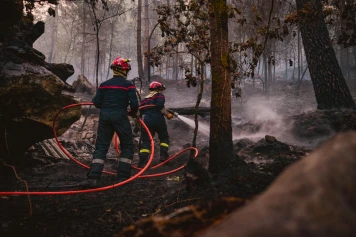 Notre forêt brûle et nous regardons l’allumette