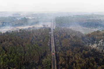 Et après les incendies en Gironde ? « Le modèle des pins maritimes en monoculture est voué à l’échec »
