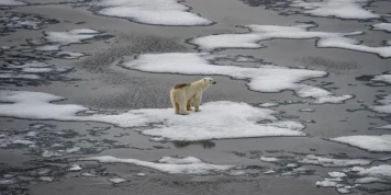 L’administration Trump annule un rapport de référence sur l’Arctique, une nouvelle atteinte à la science du climat aux Etats-Unis