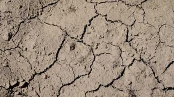 "Nous assistons aux prémices d'un danger de mort environnemental" face aux chaleurs extrêmes, avertit l'écologue Philippe Grandcolas