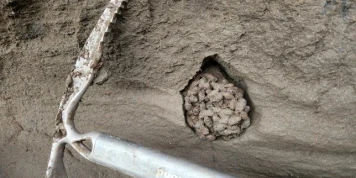 Les crottes d’écureuil, archives d’un passé vieux de 700 000 ans