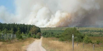 Incendie en Belgique : le feu dans un parc naturel dans l’est du pays a déjà parcouru 1 650 hectares