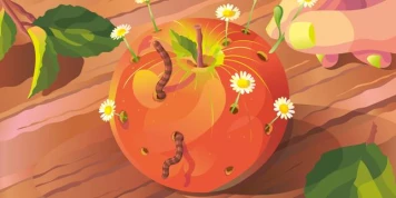 « Une alimentation bio et plus végétale sera bonne à la fois pour l’environnement et pour la santé »