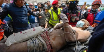 Séisme au Venezuela : le bilan s’alourdit à 1 450 morts