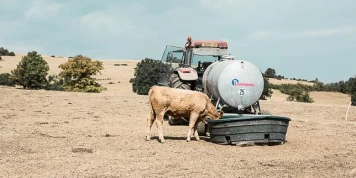 Loi d’urgence agricole : le Conseil constitutionnel valide la quasi-totalité du texte, y compris les volets controversés sur la réintroduction dérogatoire de pesticides interdits