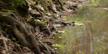 Sécheresse : « Notre société s’est construite sur le mythe d’une eau abondante »