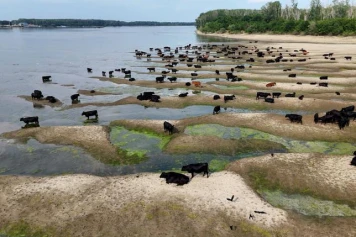Le Danube est presque à sec, la Roumanie met des centrales nucléaires à l’arrêt