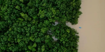 Au Brésil, la déforestation à son plus bas niveau depuis 2019 selon un nouveau rapport, malgré des menaces persistantes