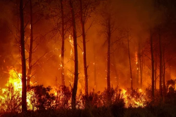 Feu convectif, pyrocumulonimbus… Comprendre le nouveau lexique des incendies