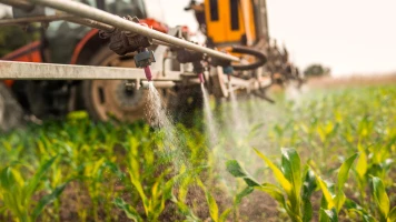 Pesticides : ces sociétés savantes demandent au Conseil constitutionnel de censurer la loi d’urgence agricole