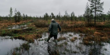 Restaurer des tourbières pour freiner les chars russes : la Finlande se convertit au « réensauvagement défensif »