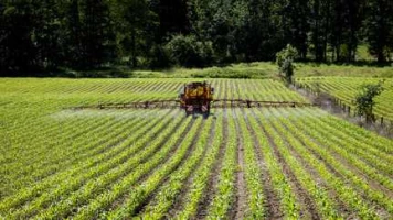 Stockage de l'eau, réintroduction de pesticides, souveraineté alimentaire… Voici ce que contient la loi d'urgence agricole adoptée par le Parlement