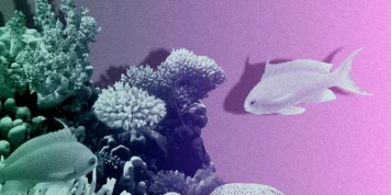« A l’aube de ses 400 ans, le Muséum national d’histoire naturelle est menacé par l’usure du temps et l’insuffisance des moyens »